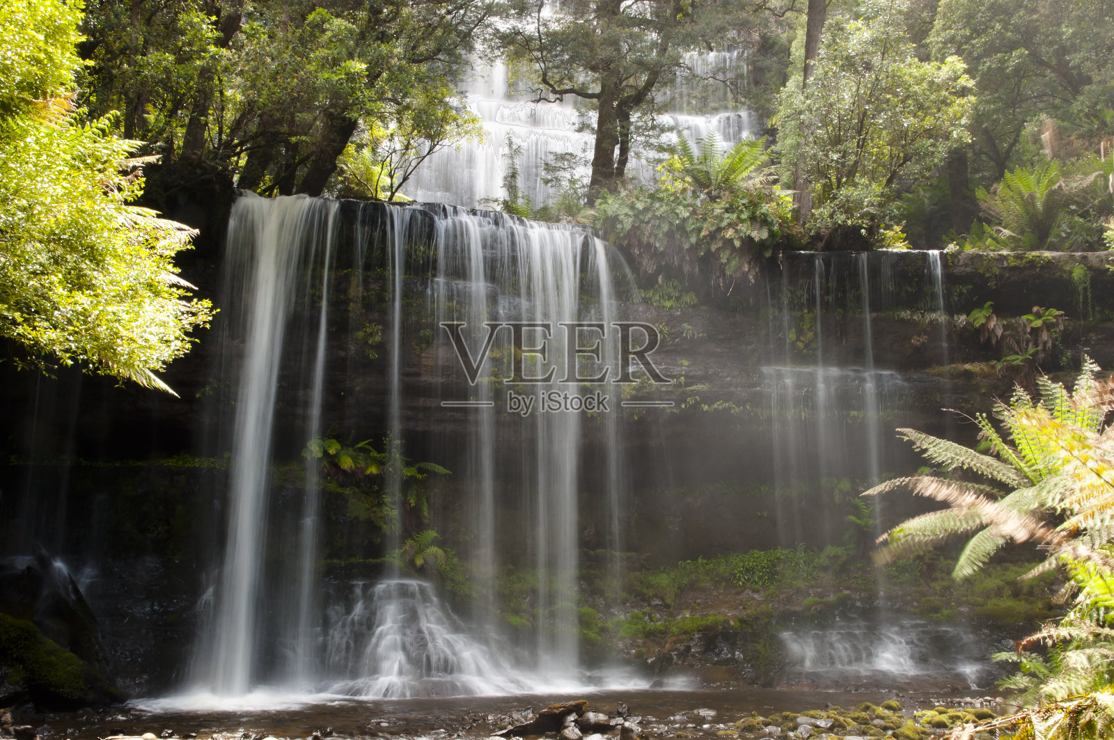 菲尔德山国家公园-塔斯马尼亚照片摄影图片
