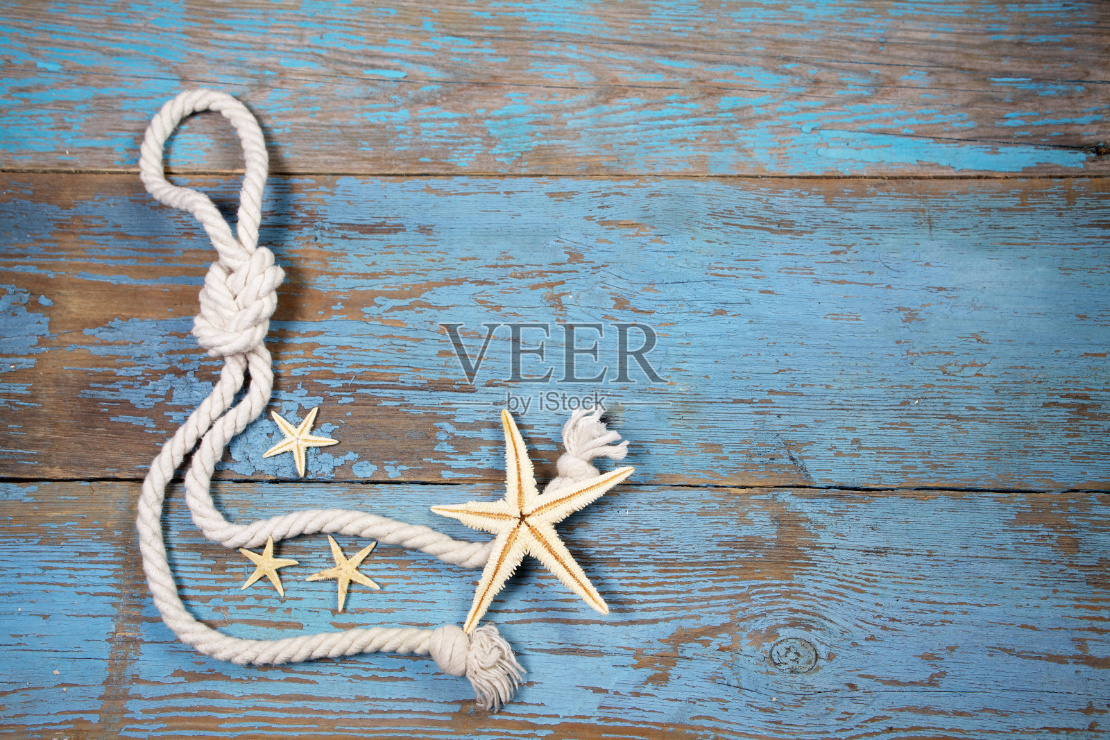 海星和海绳照片摄影图片