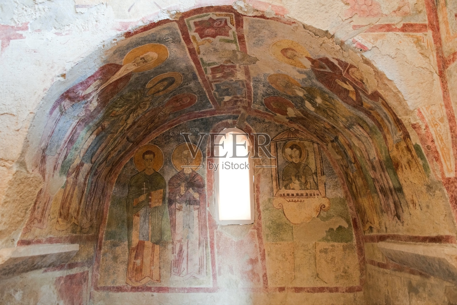 新鲜的照片摄影图片