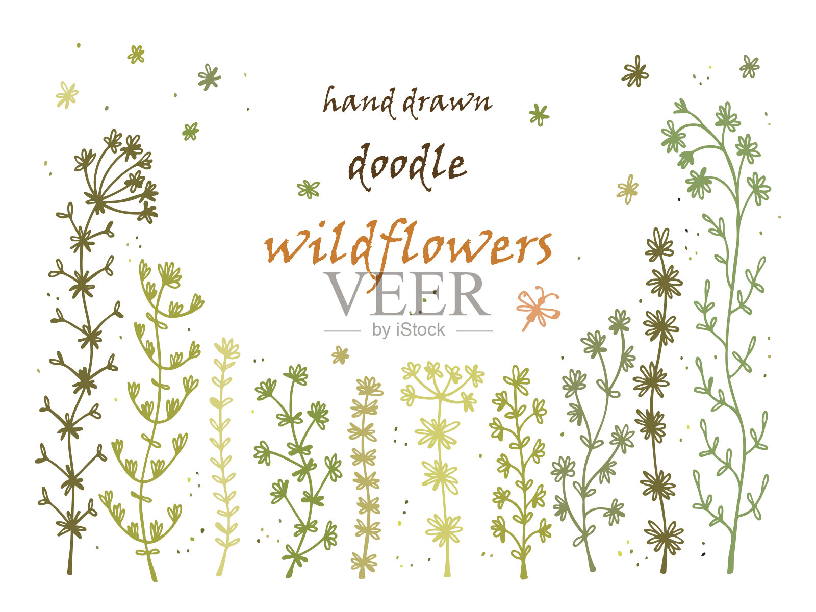 花的框架。手绘涂鸦野花。花卉向量组插画图片素材