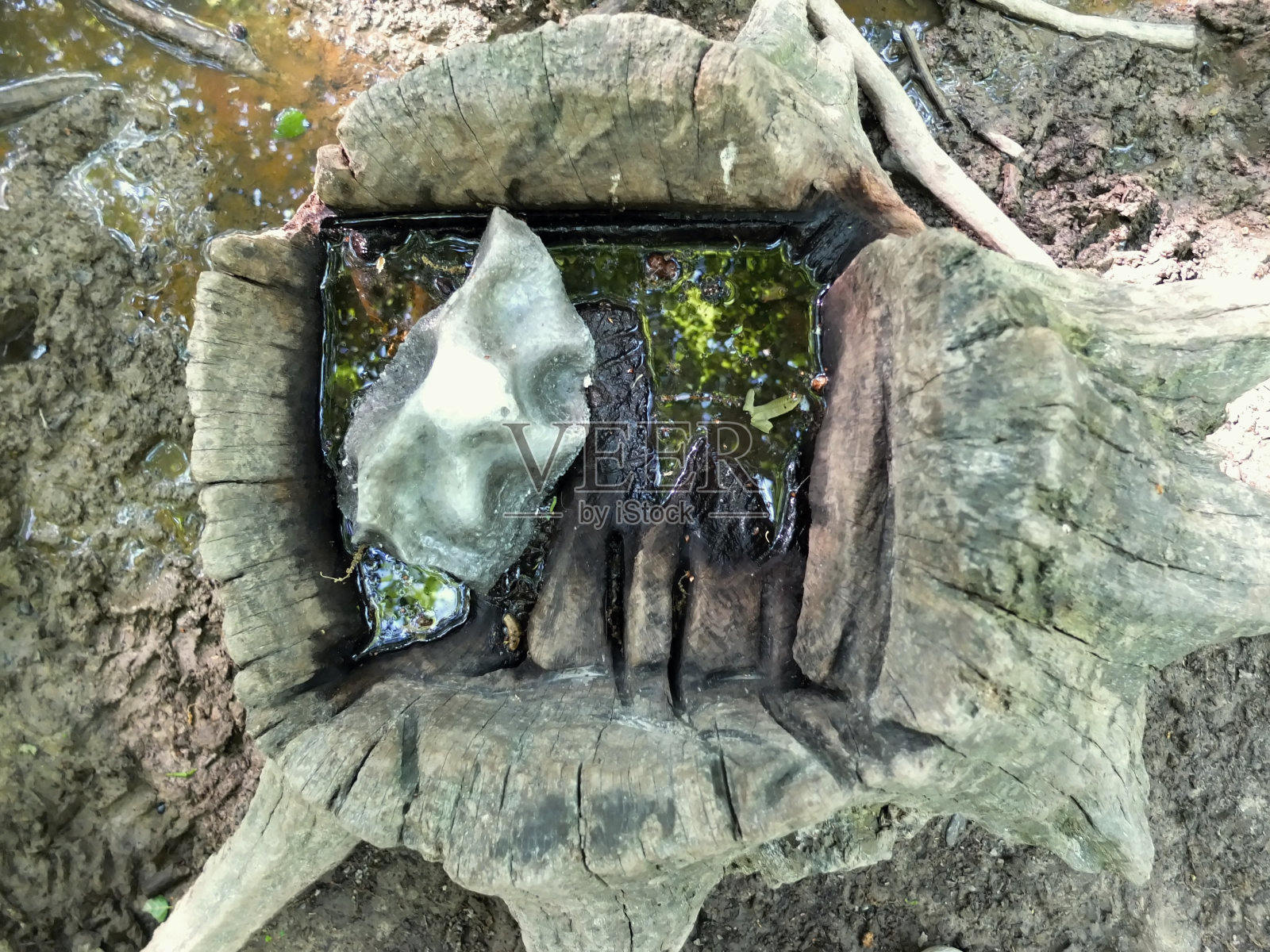 馈线与盐。照片摄影图片