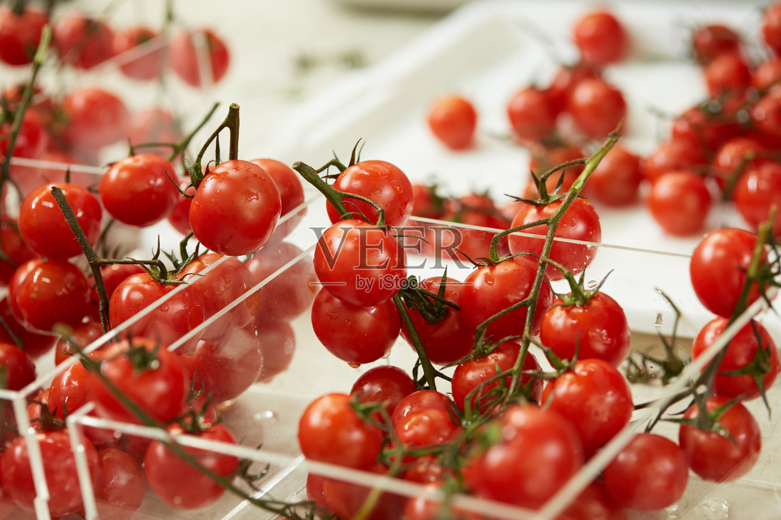 小枝上的樱桃番茄照片摄影图片
