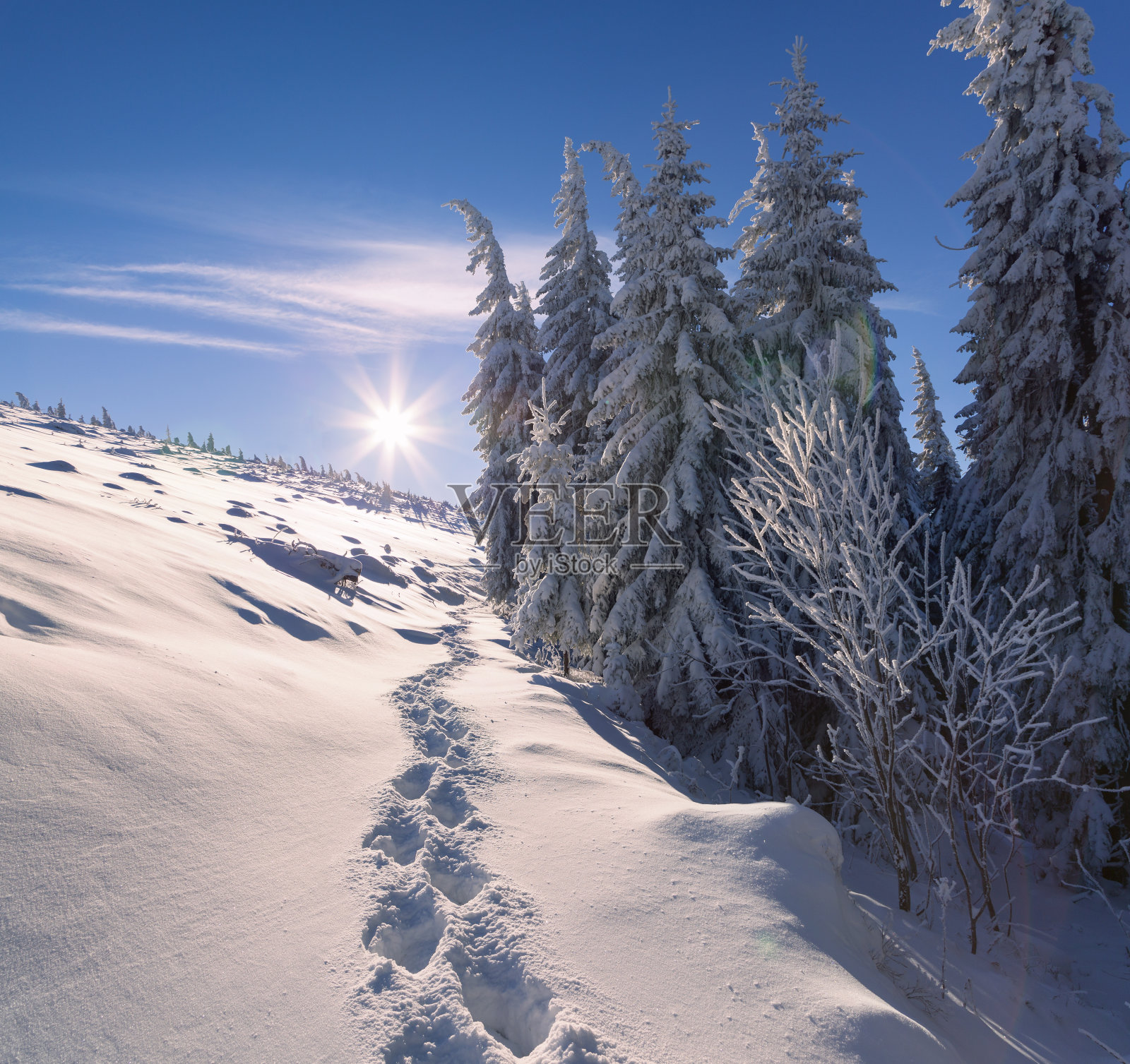 山上五颜六色的冬日早晨照片摄影图片