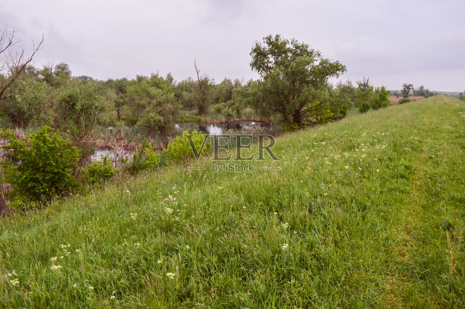 自然保护区的Causey照片摄影图片