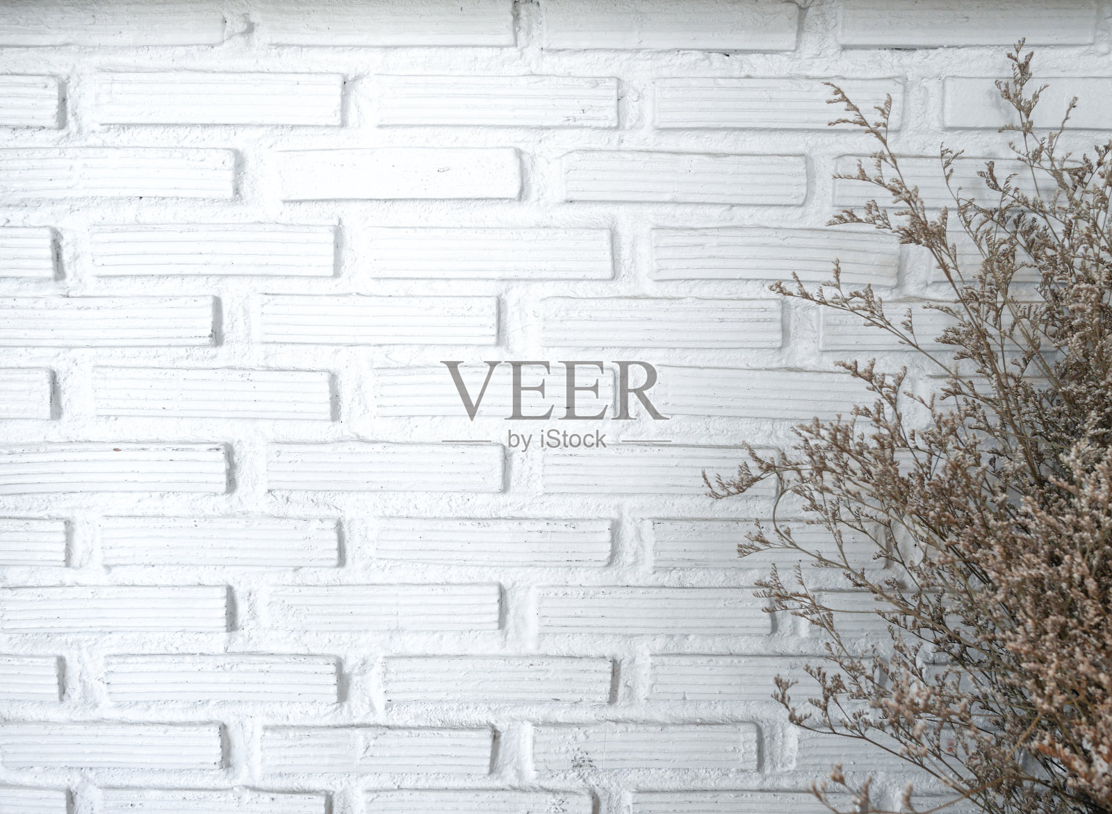 白色墙砖上的干花作为背景照片摄影图片