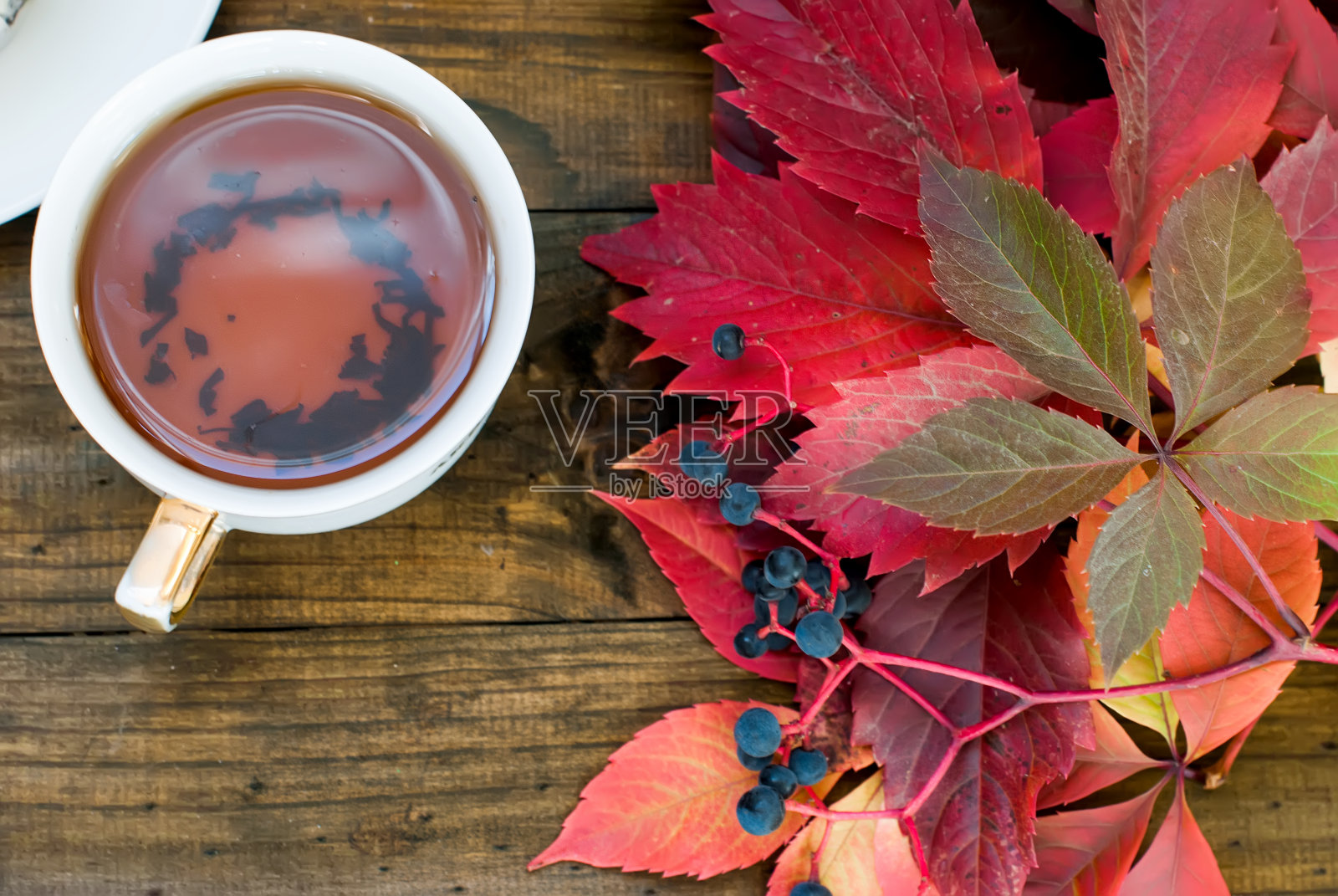 一杯野葡萄秋叶的茶照片摄影图片