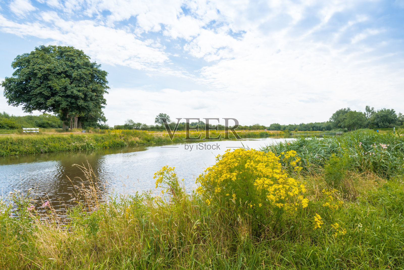 荷兰缤纷的夏日风景照片摄影图片
