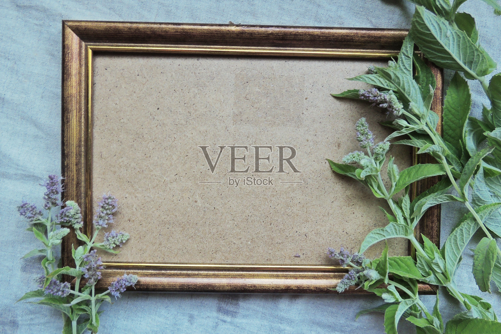 框架和薄荷照片摄影图片