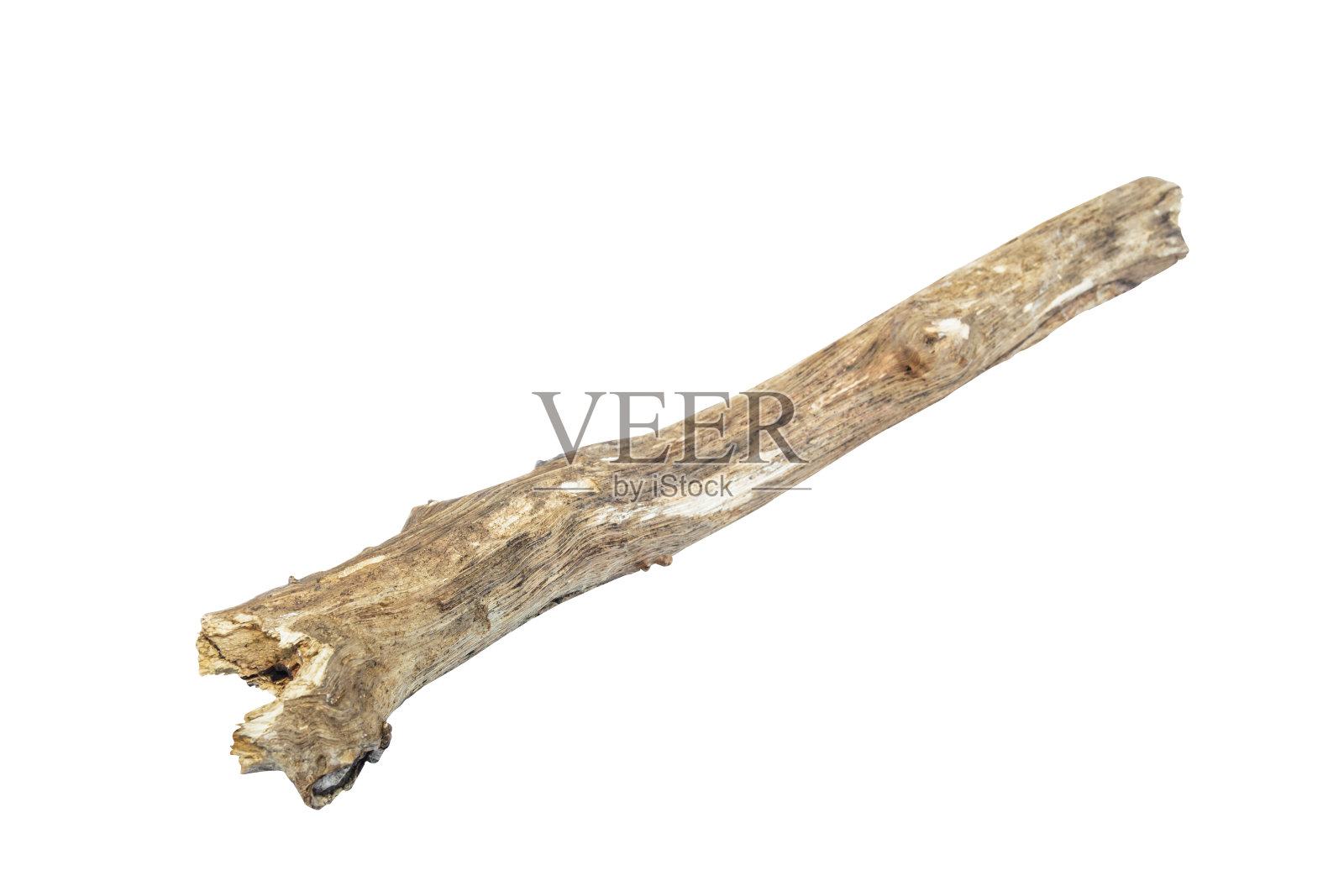 漂木孤立在白色背景上照片摄影图片