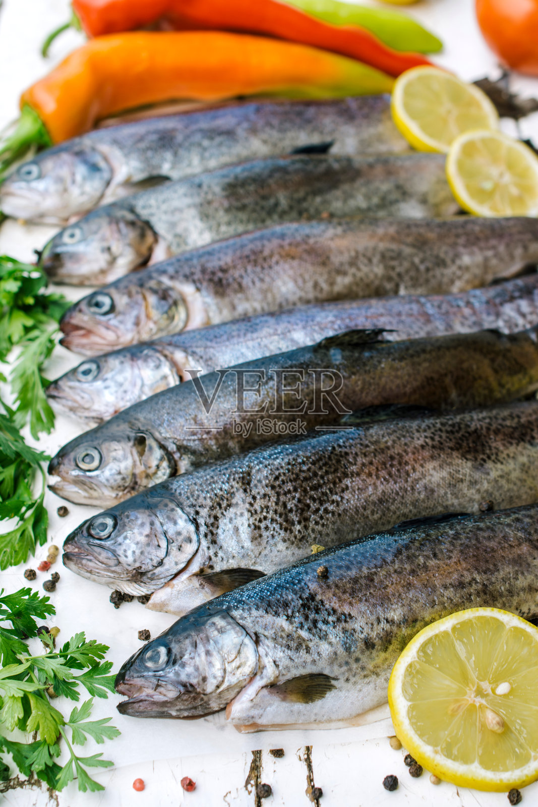 生鲑鱼鱼照片摄影图片