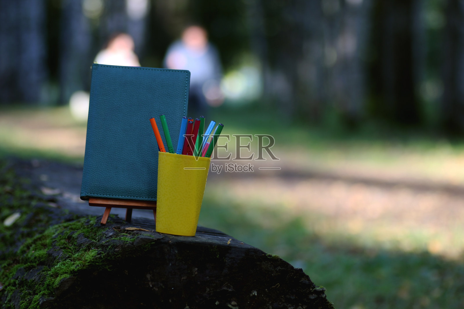 在学年里把书放在长凳上照片摄影图片