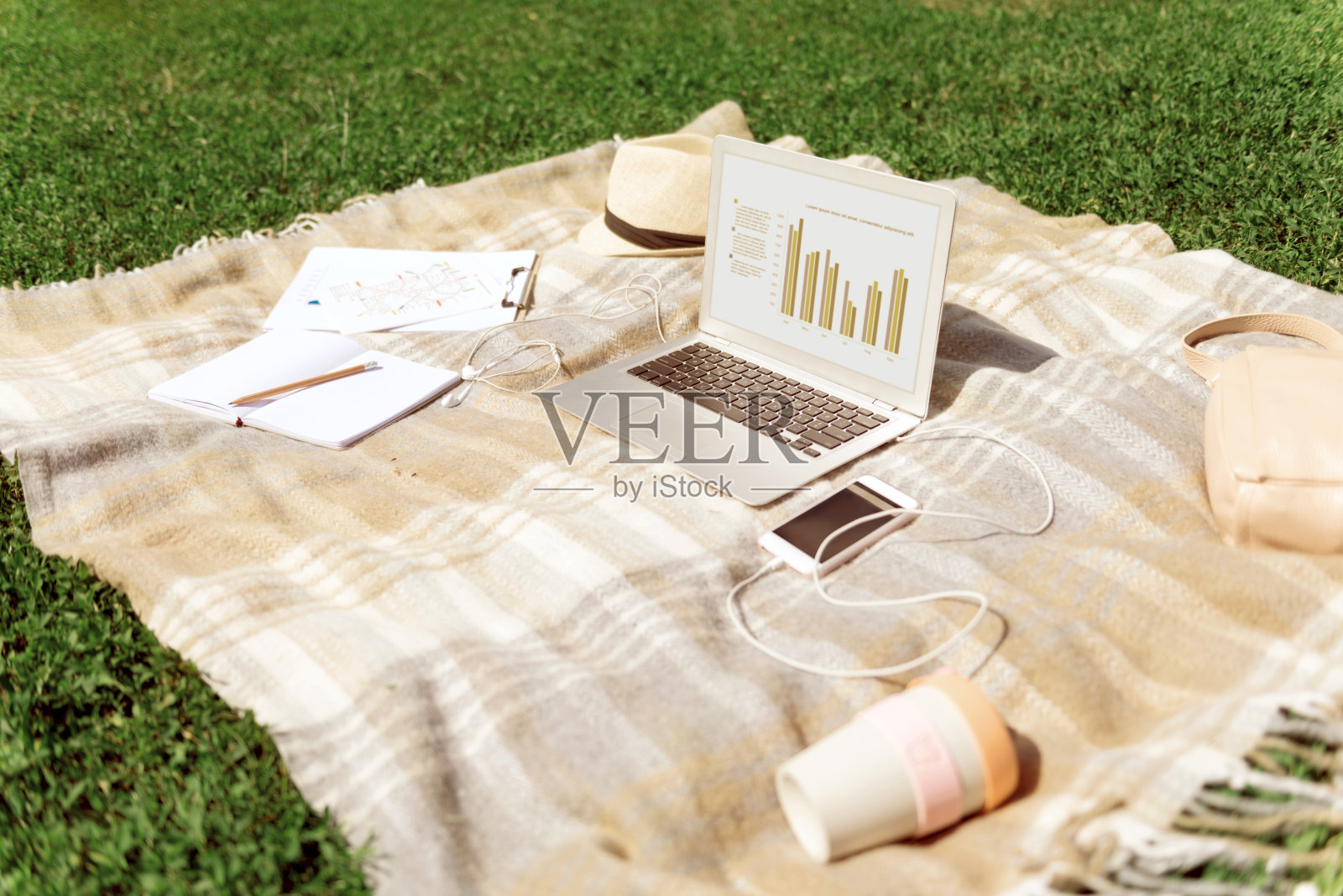 草地上放着一条毯子，上面放着笔记本电脑照片摄影图片