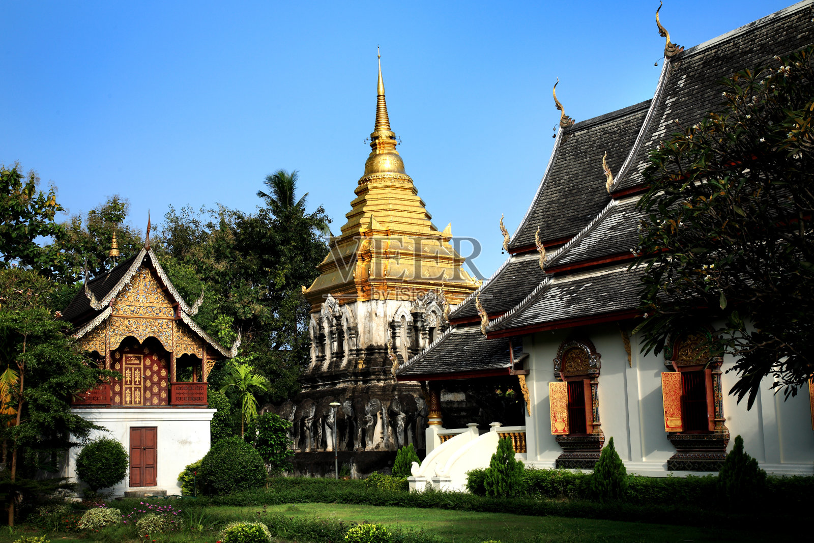 泰国清迈美丽的佛教寺庙，有金塔照片摄影图片