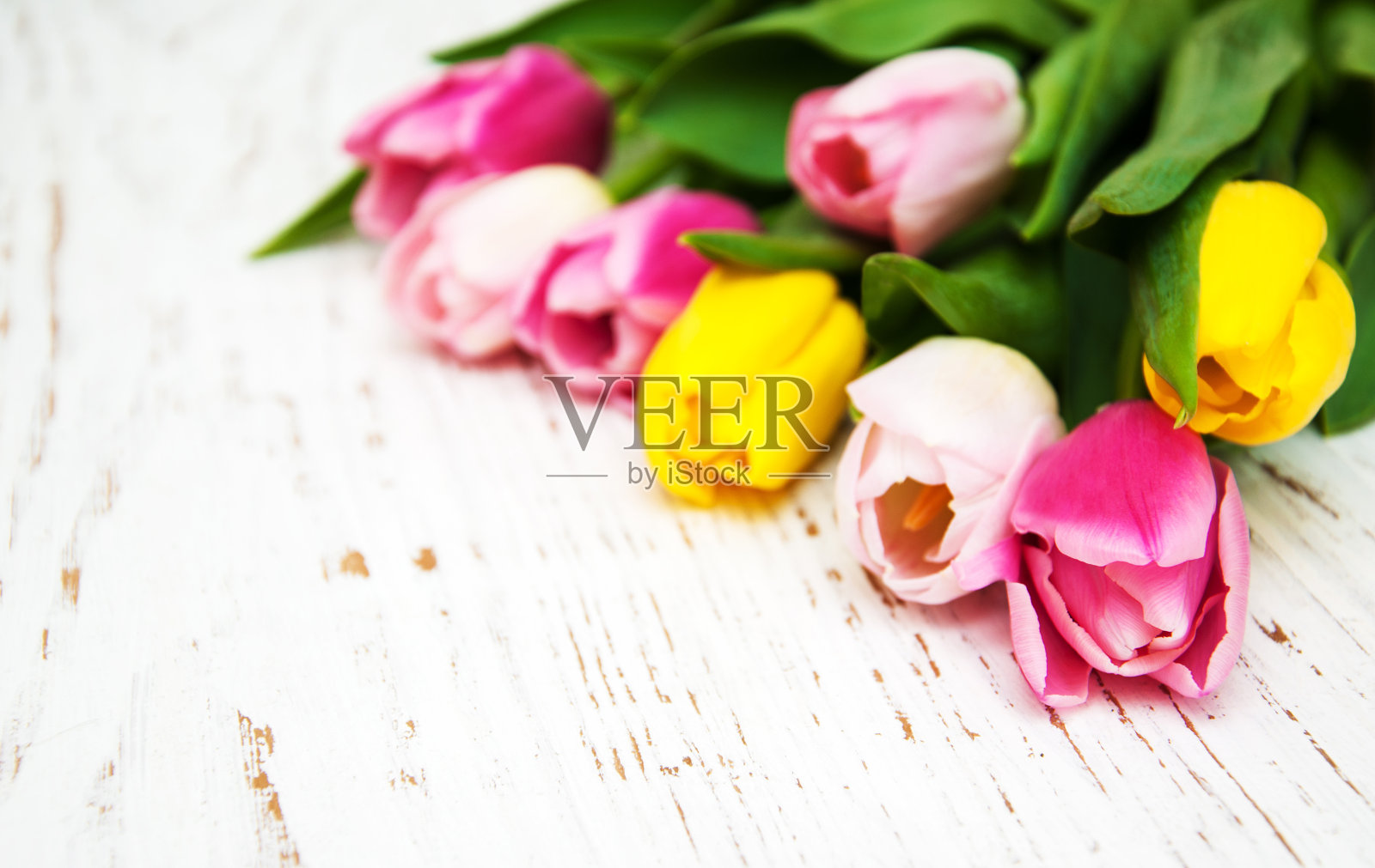 束郁金香照片摄影图片