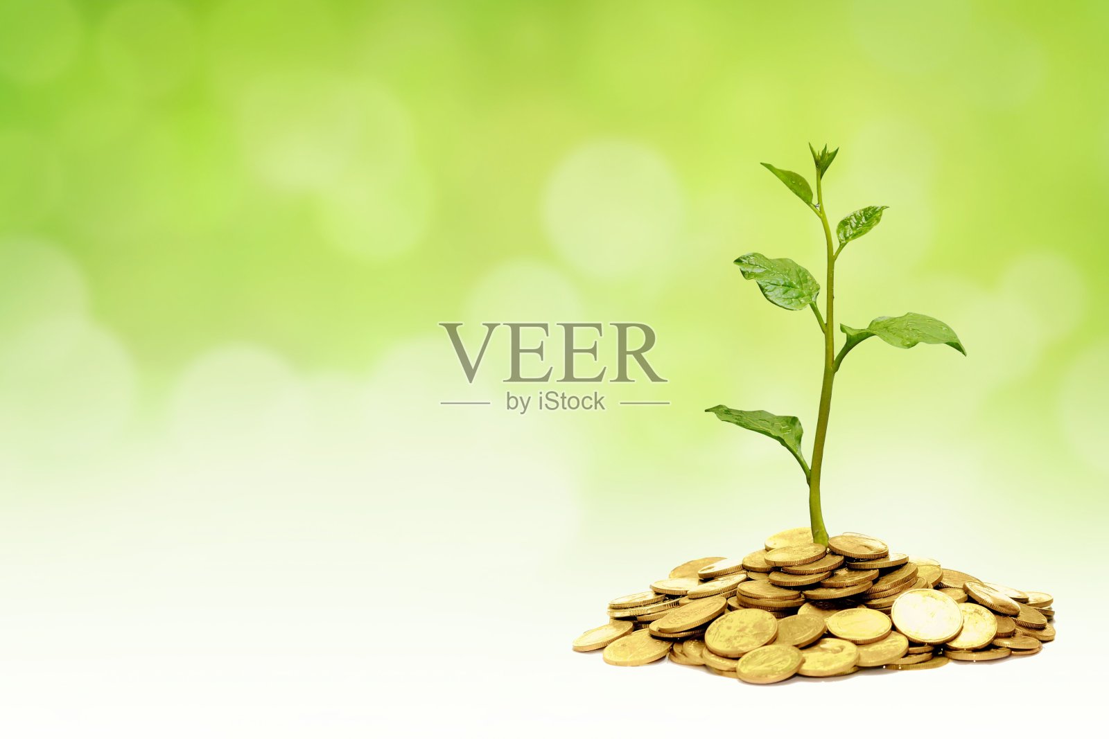 企业社会责任实践照片摄影图片