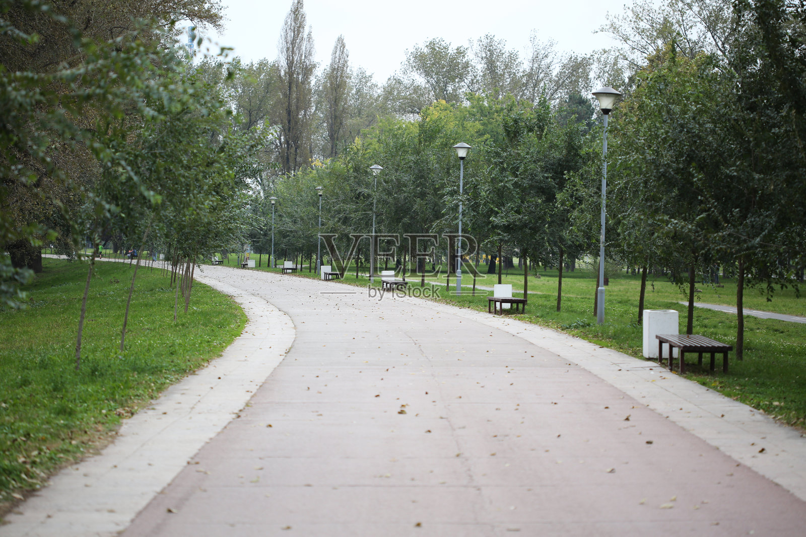 大自然中的散步小径照片摄影图片