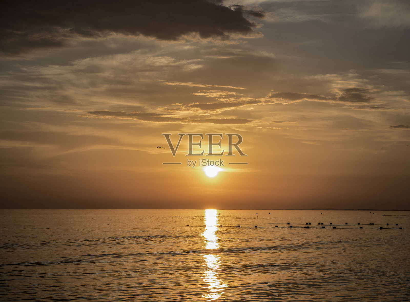 ？ ？ ？ ？ ？ ？ ?？????照片摄影图片