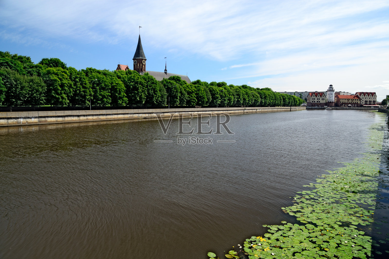 哥尼斯堡大教堂。加里宁格勒的象征。俄罗斯照片摄影图片