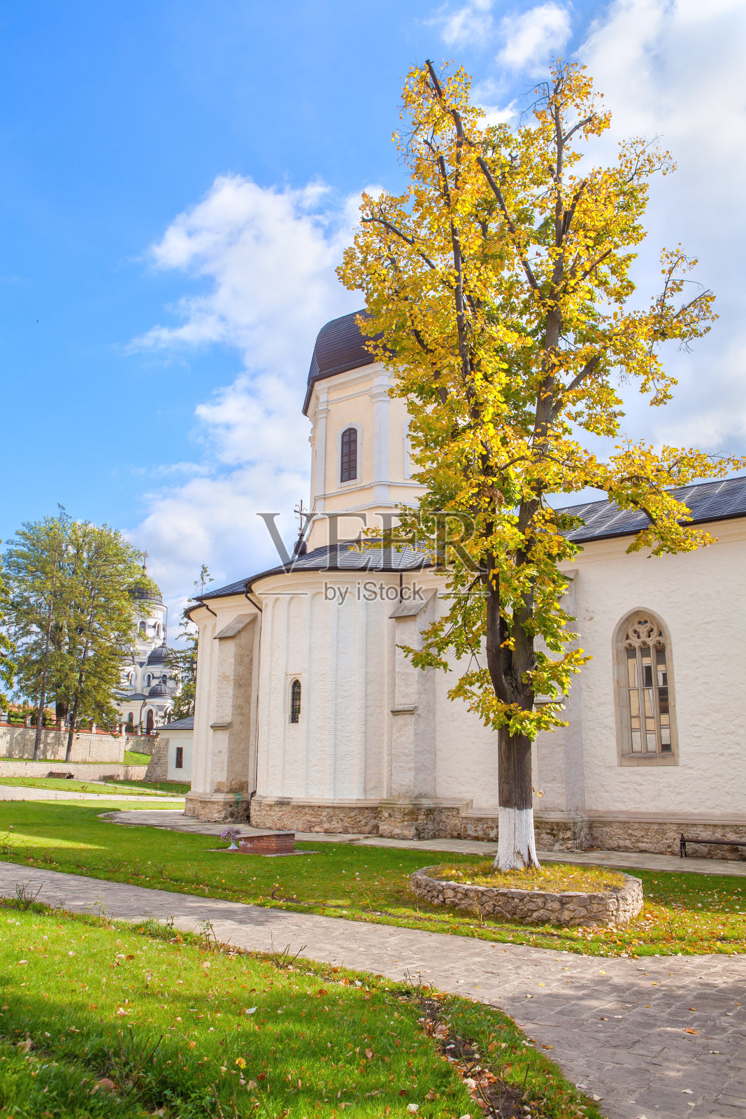 在墓地里照片摄影图片