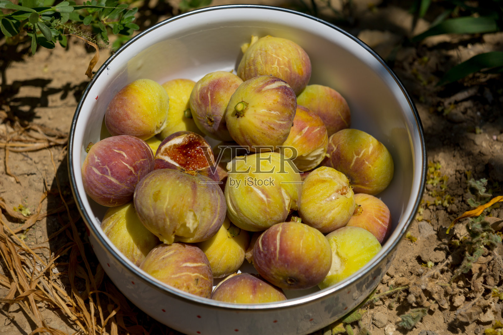 无花果照片摄影图片