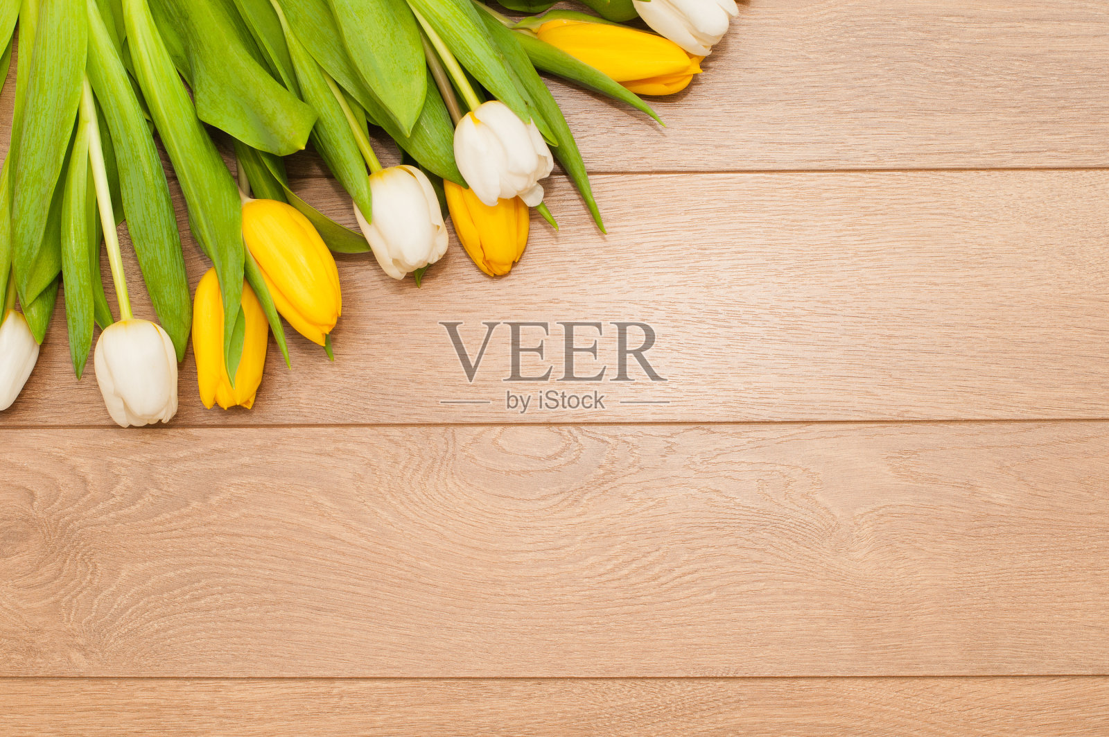 美丽的郁金香木背景与文字空间照片摄影图片