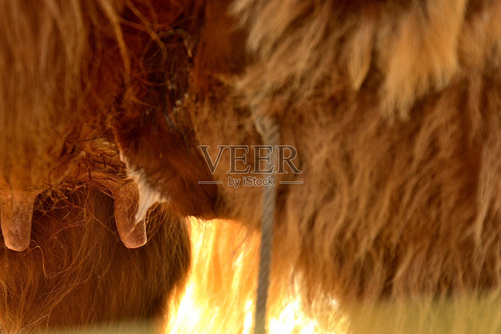 乳儿小腿照片摄影图片