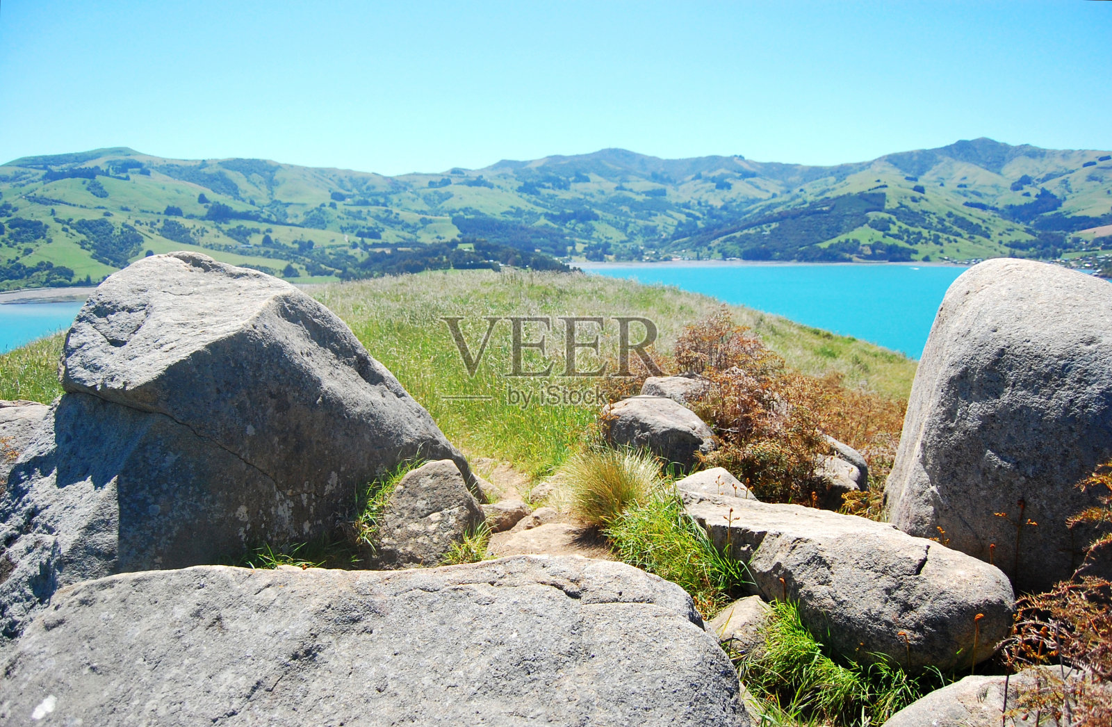 草地上有灰色的石头照片摄影图片