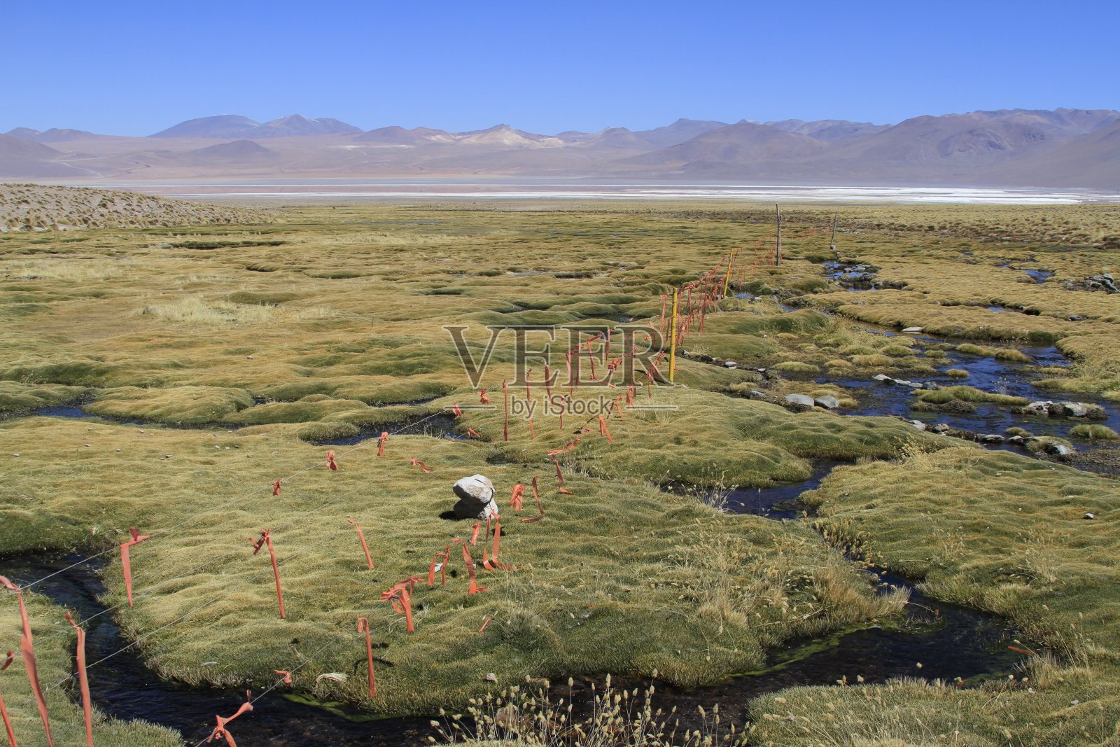 爱德华多·阿尔韦罗亚，乌尤尼·玻利维亚照片摄影图片