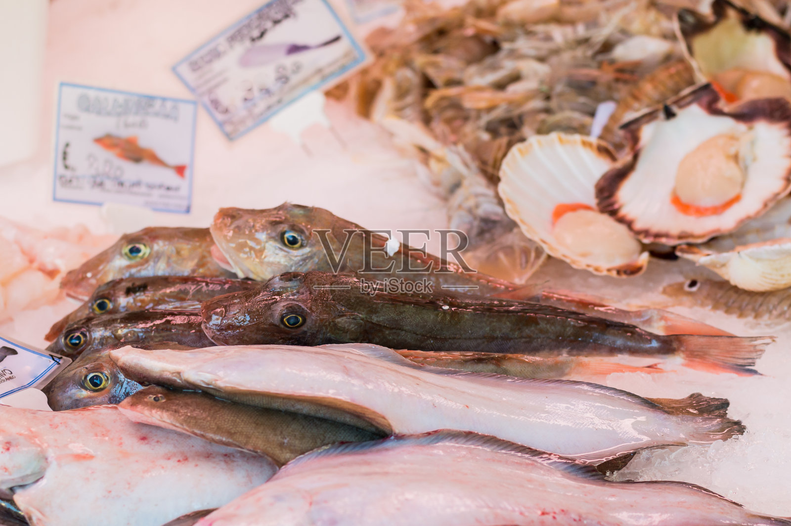 食物,鱼照片摄影图片