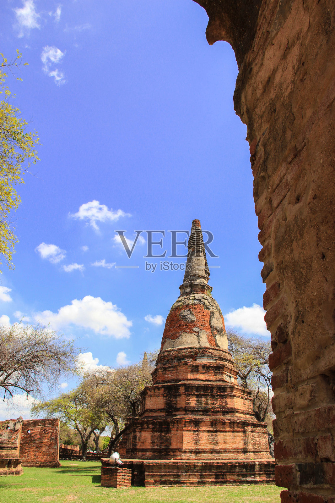 斯图躲在墙后面照片摄影图片