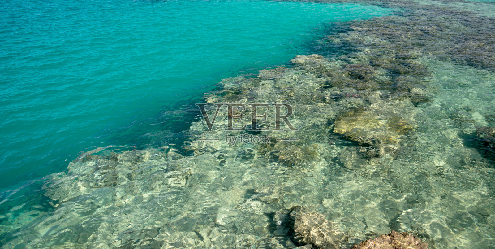 珊瑚礁泻湖照片摄影图片