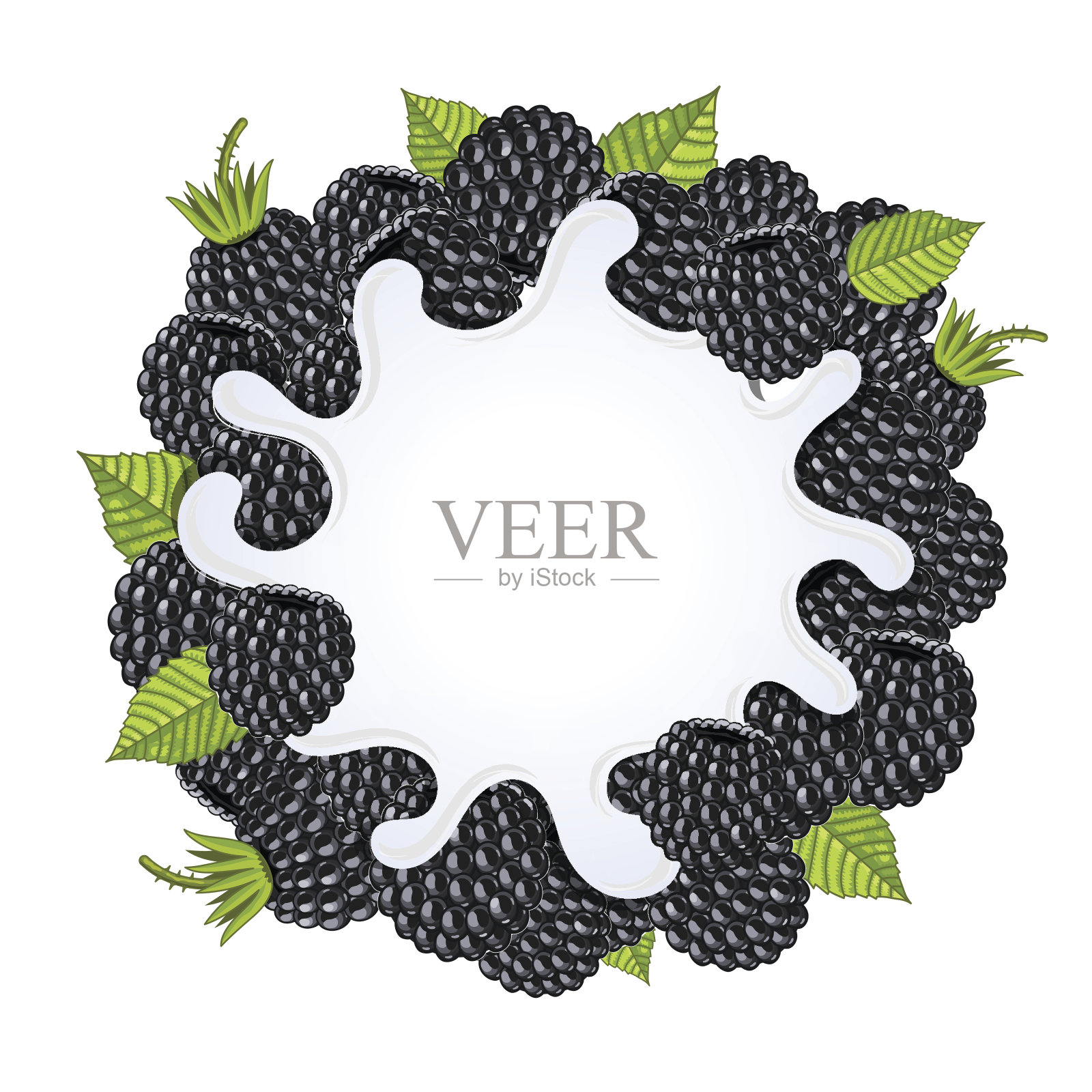 与黑莓隔离的酸奶飞溅，载体插画图片素材