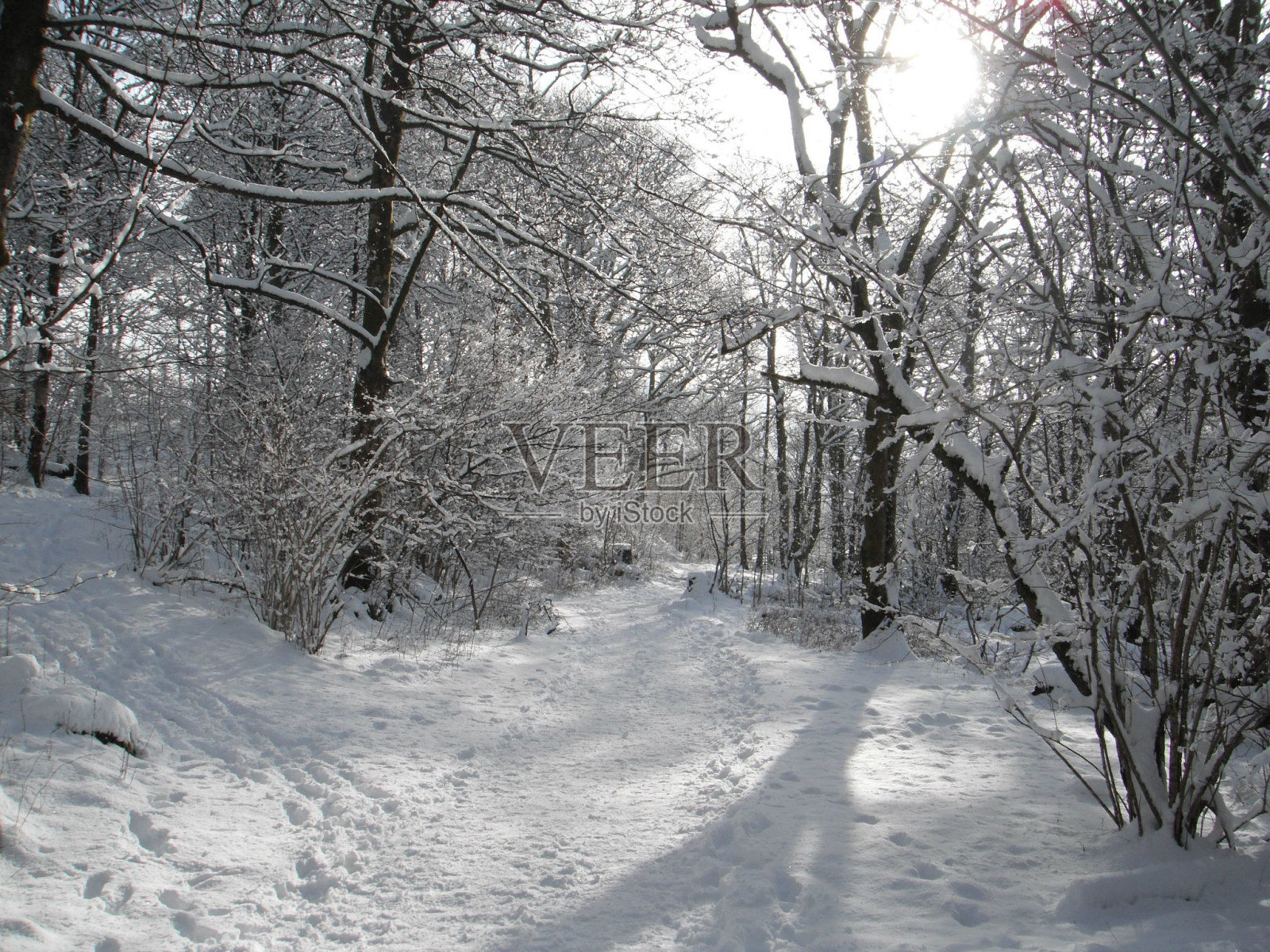 下雪的冬天路径照片摄影图片