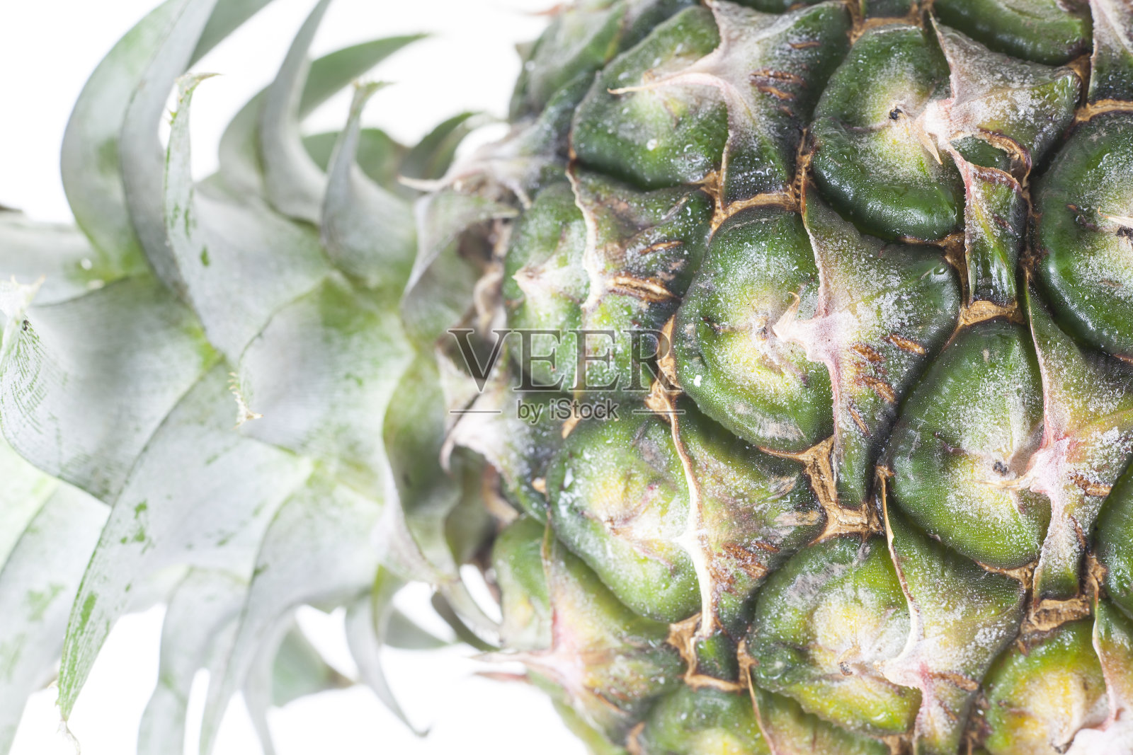 白色背景上的菠萝。照片摄影图片