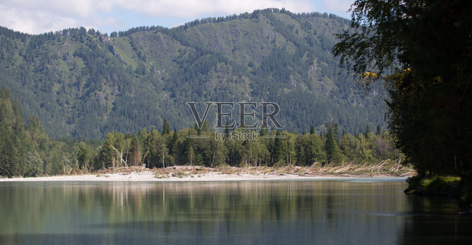 阿尔泰的青山照片摄影图片