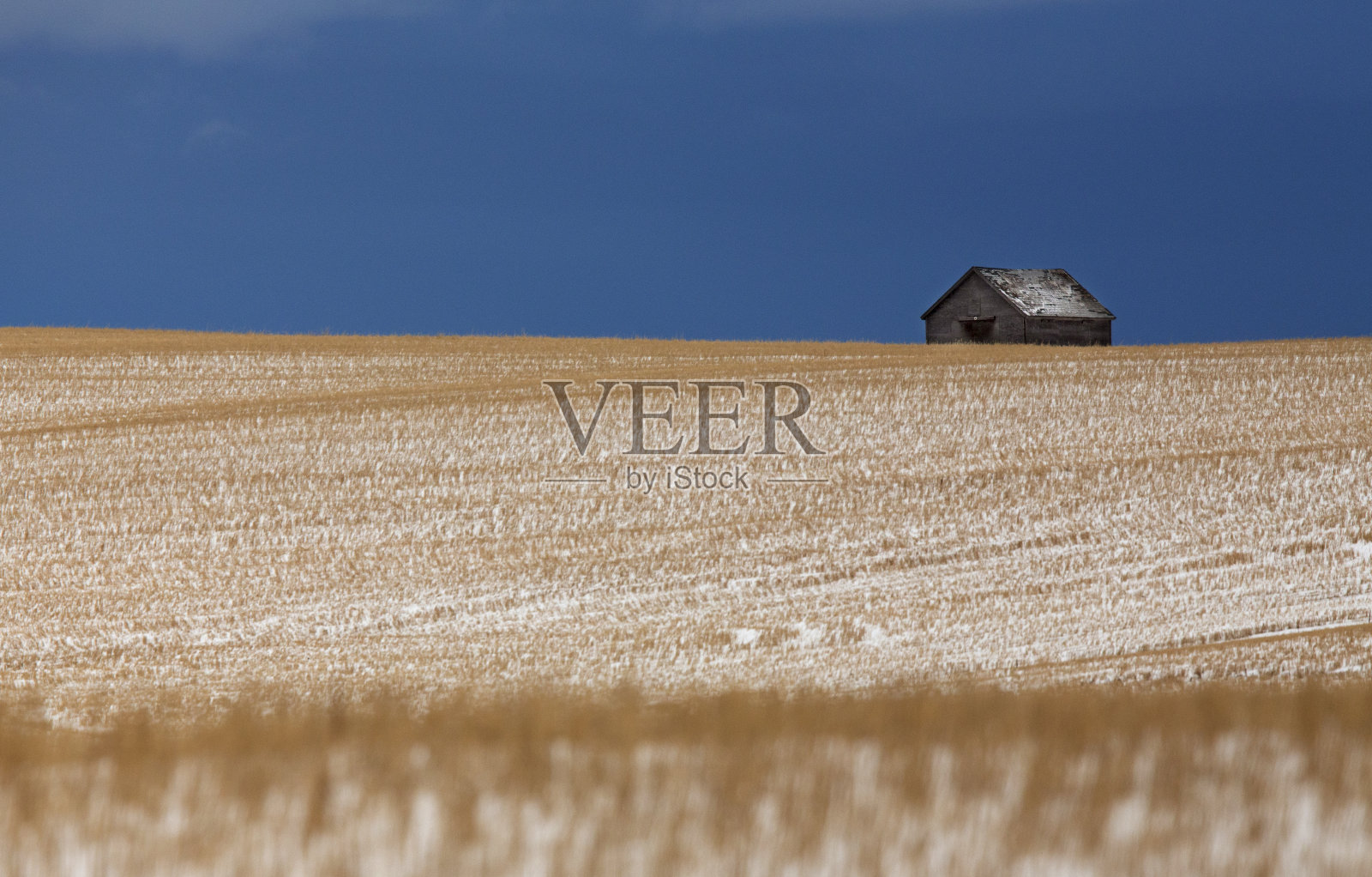 冬季草原景观照片摄影图片