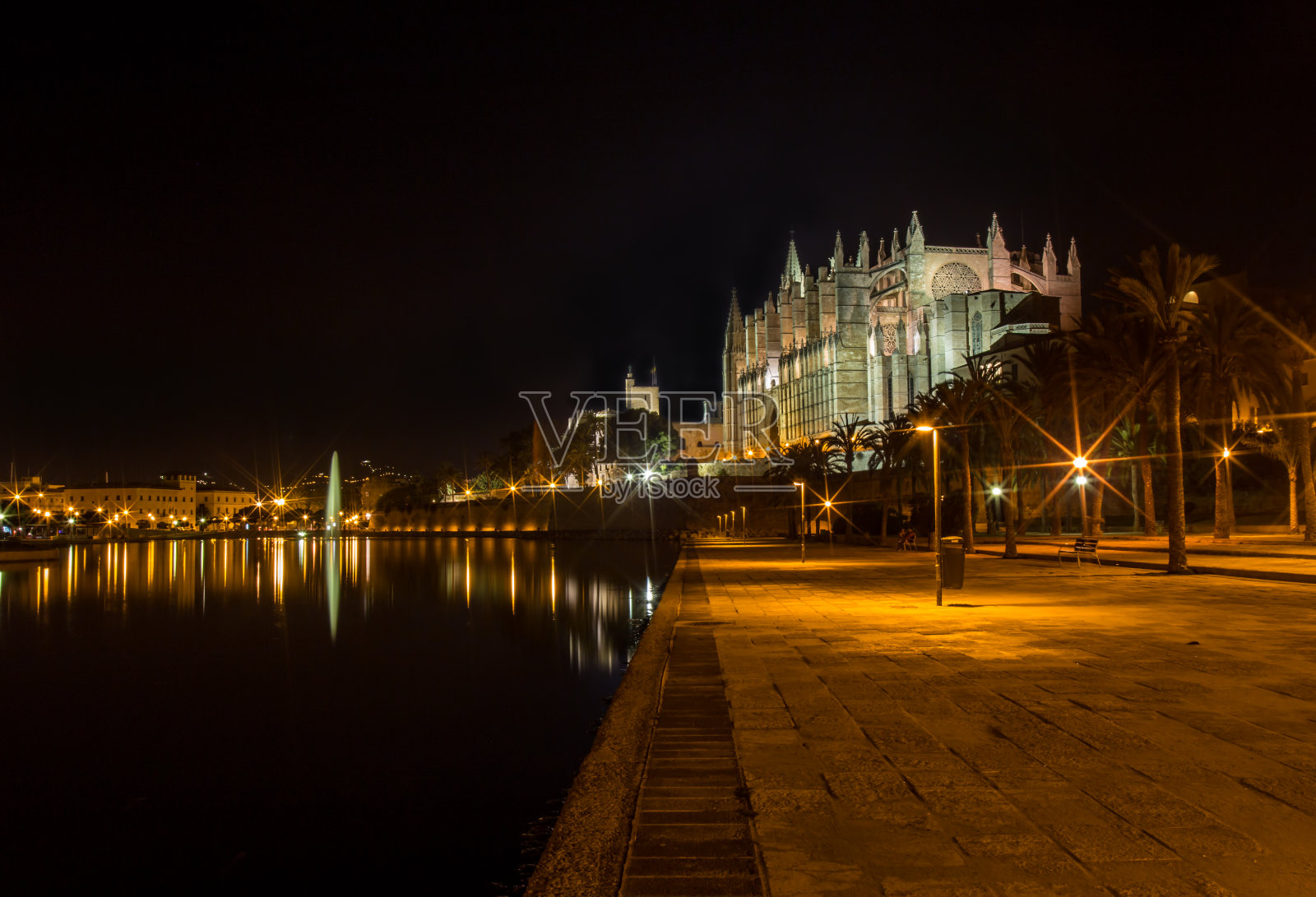 帕尔马马略卡大教堂在晚上照片摄影图片