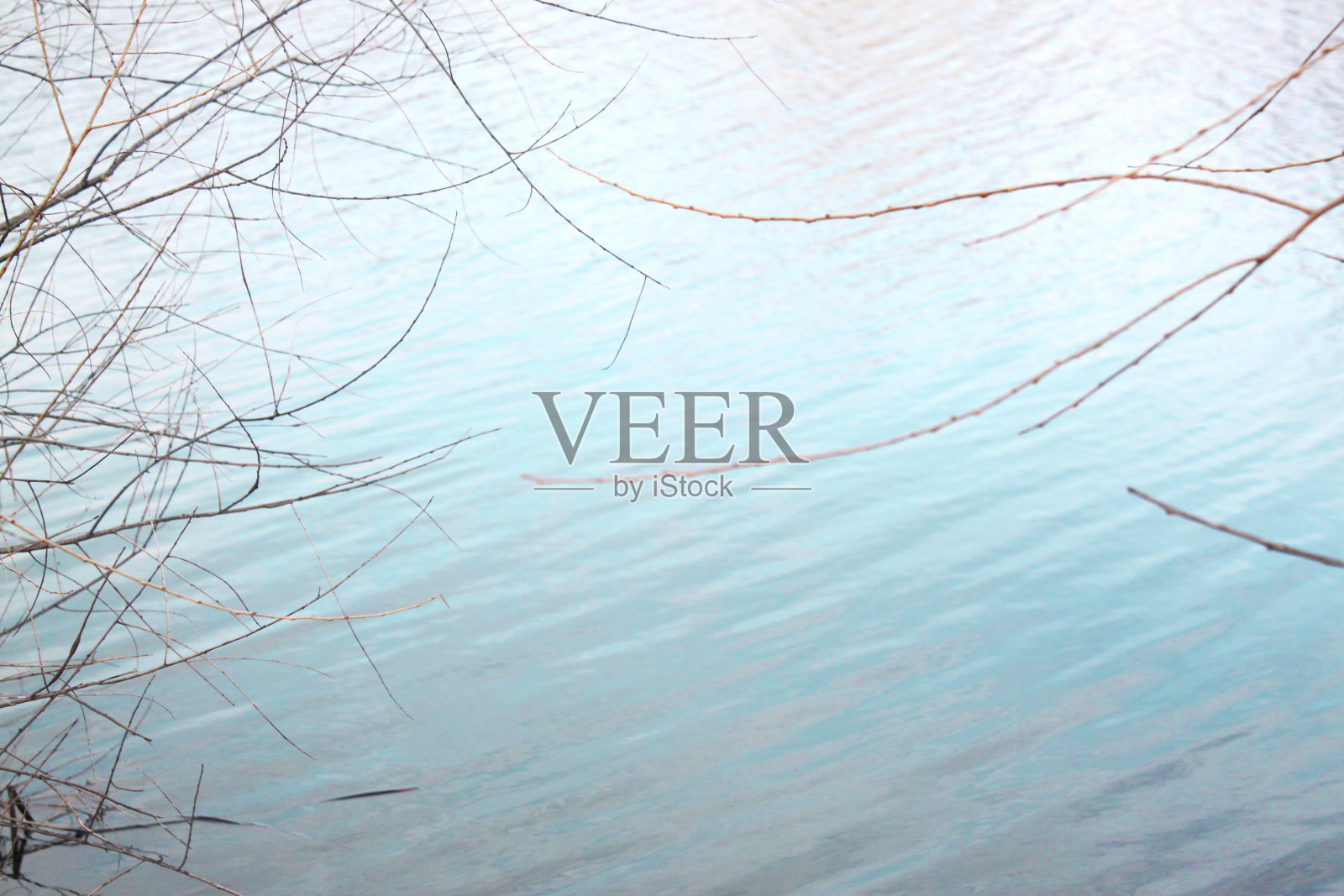 有细枝的小溪水照片摄影图片