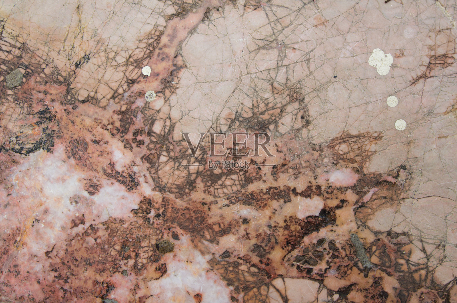 大理石floor9照片摄影图片