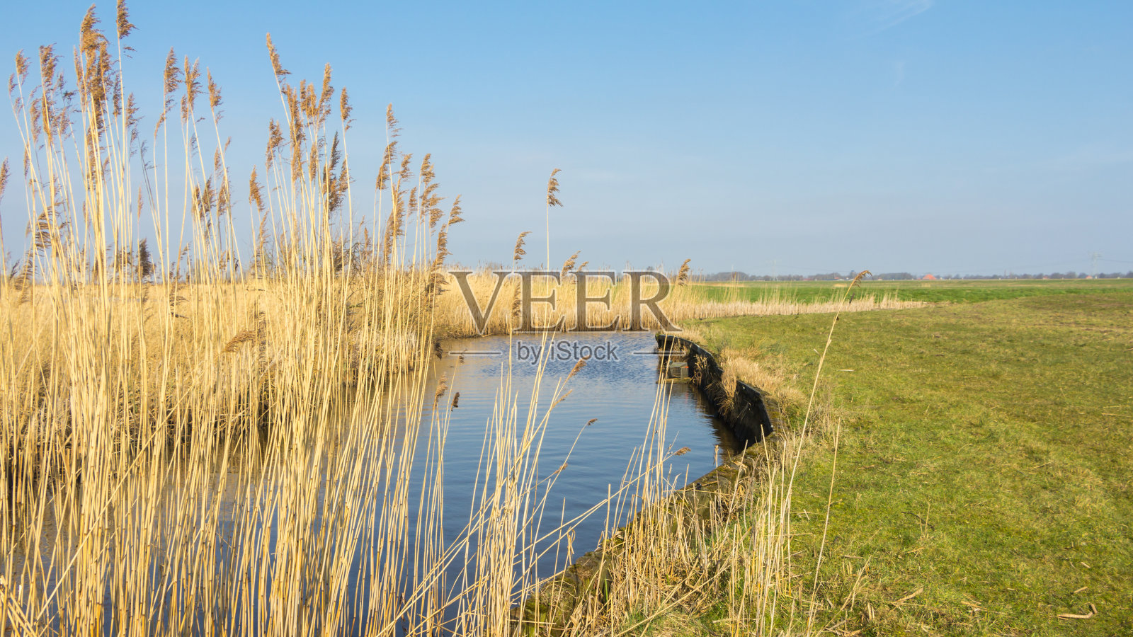 典型的荷兰景观与茅草在农田旁边的水照片摄影图片