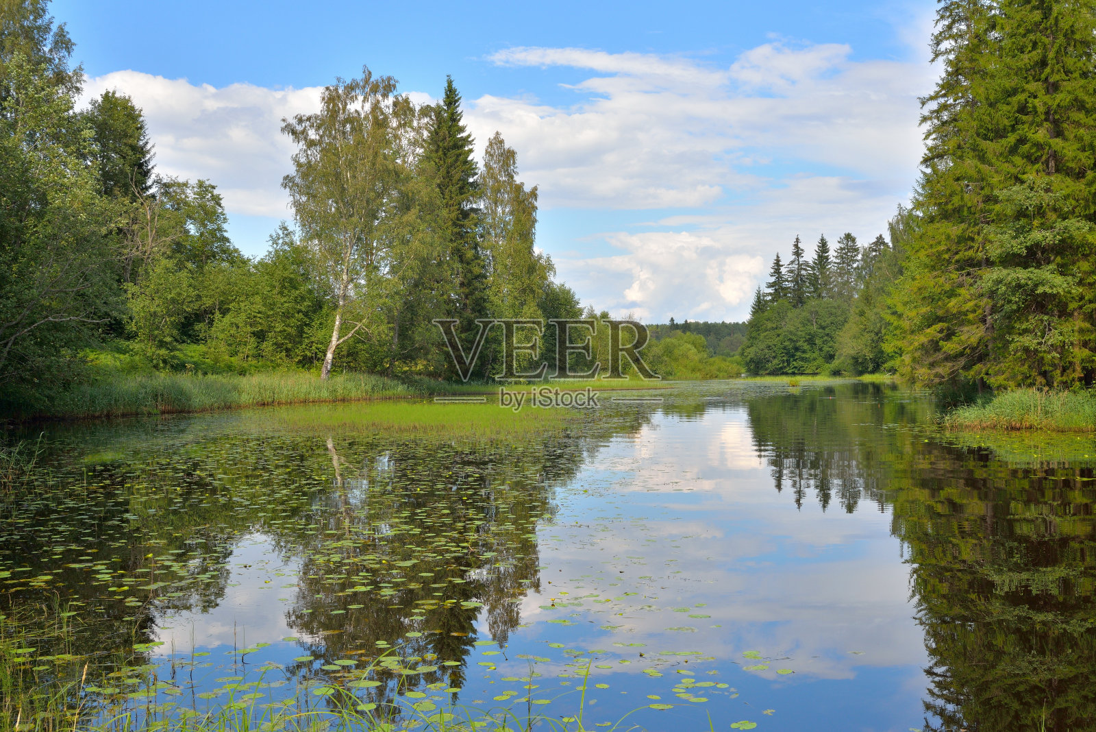 山水有蓝天，有松树，有小河照片摄影图片