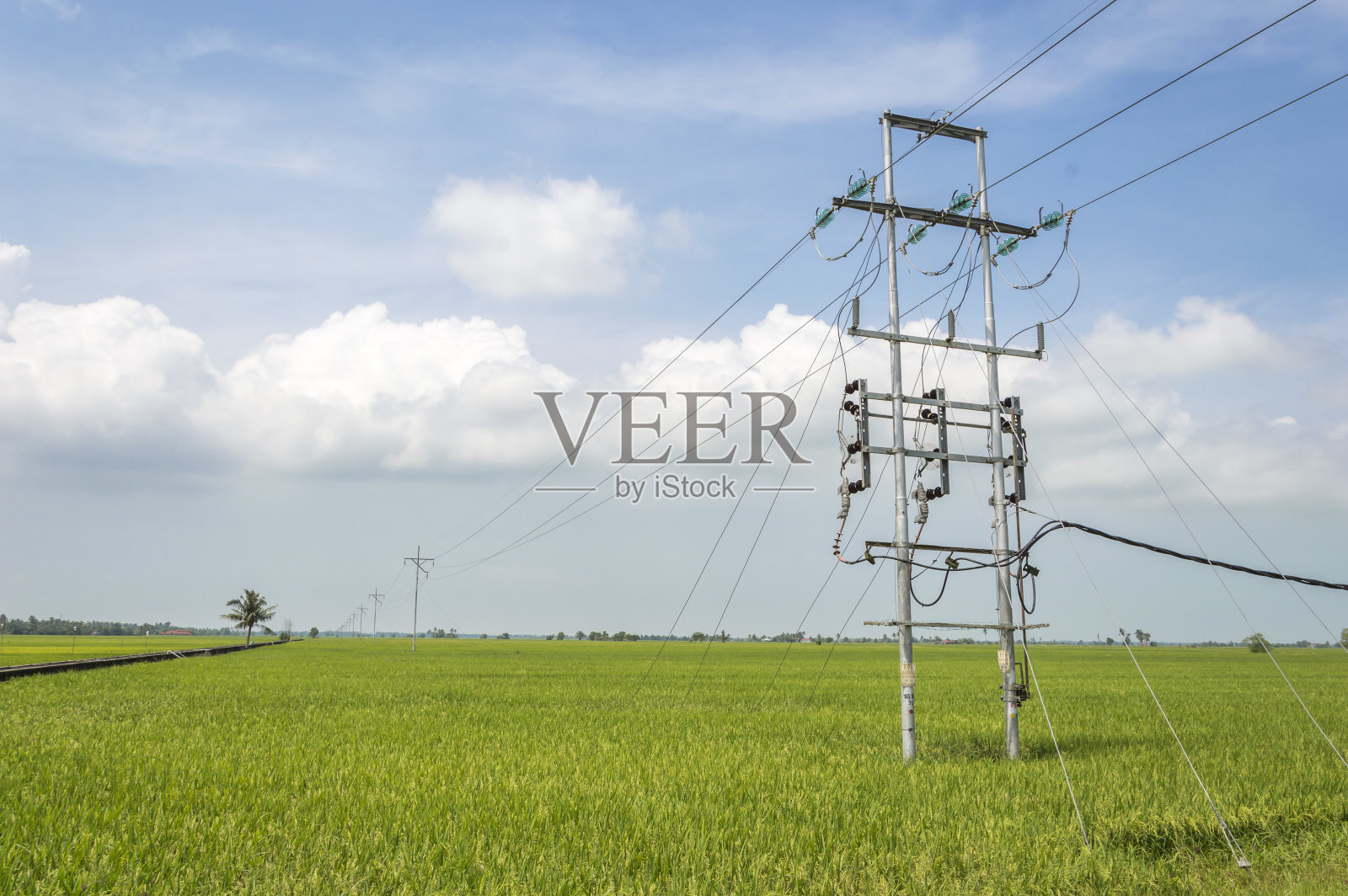 塔和稻田照片摄影图片