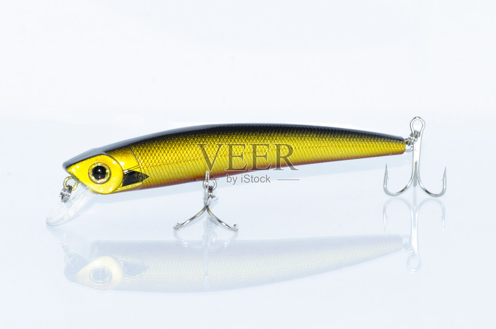 橙色的诱惑照片摄影图片