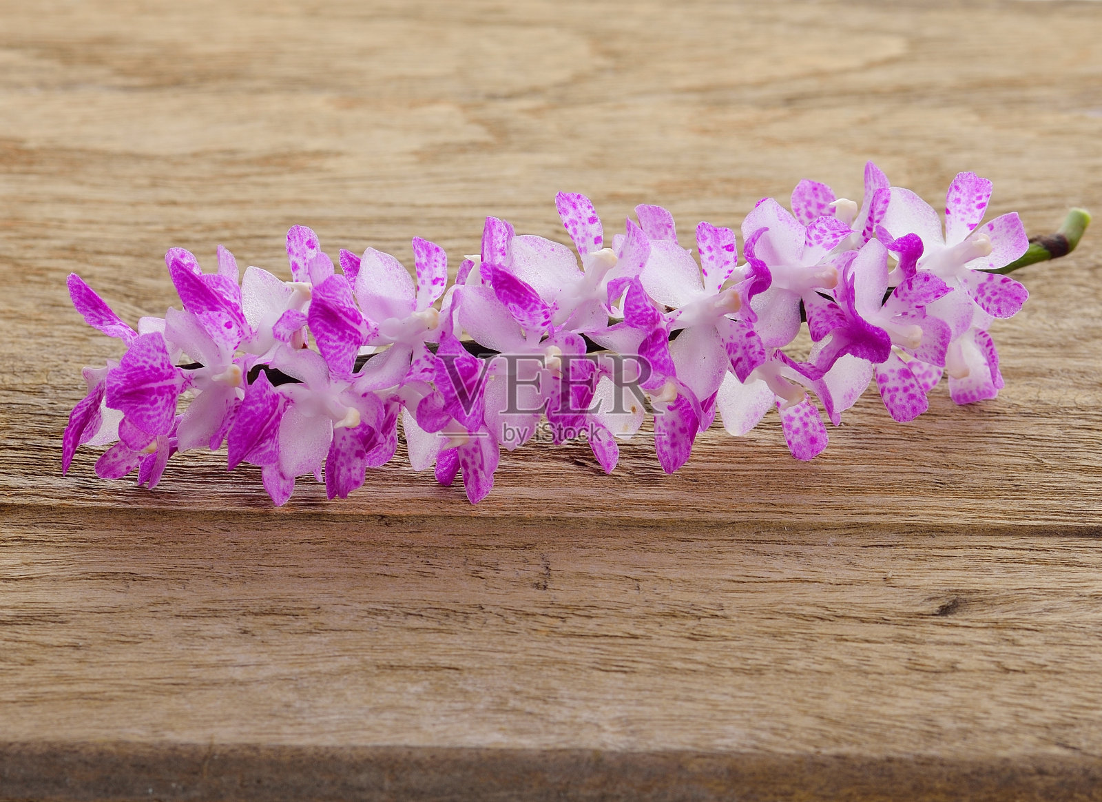 美丽的兰花木背景。照片摄影图片