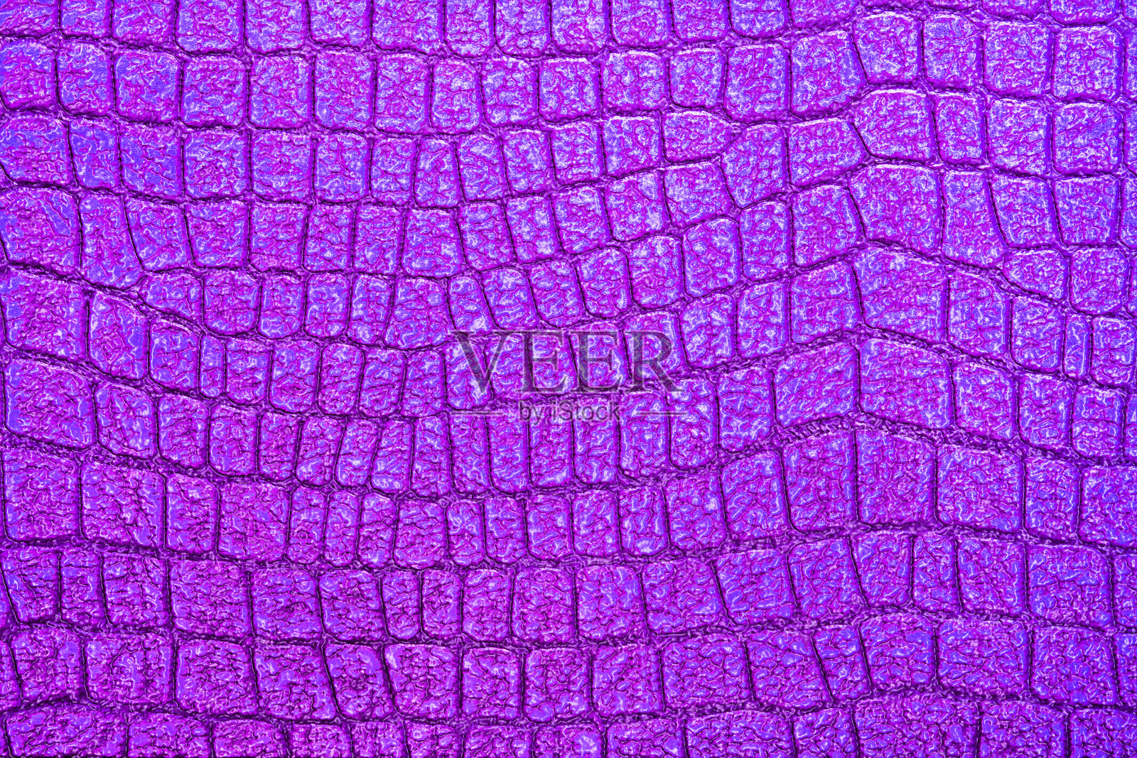 鳄鱼图案的背景照片摄影图片