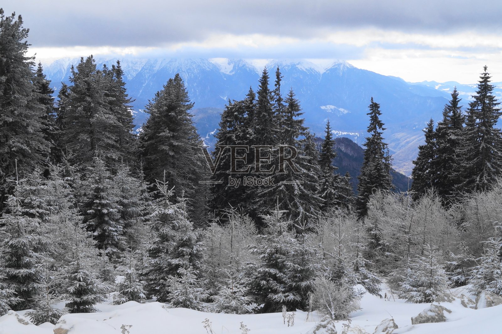 罗马尼亚的冬季景观，Poiana Brasov照片摄影图片