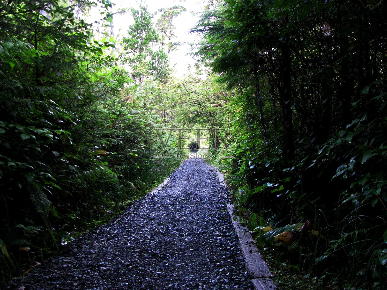 通往圣何塞海滩的小路照片摄影图片