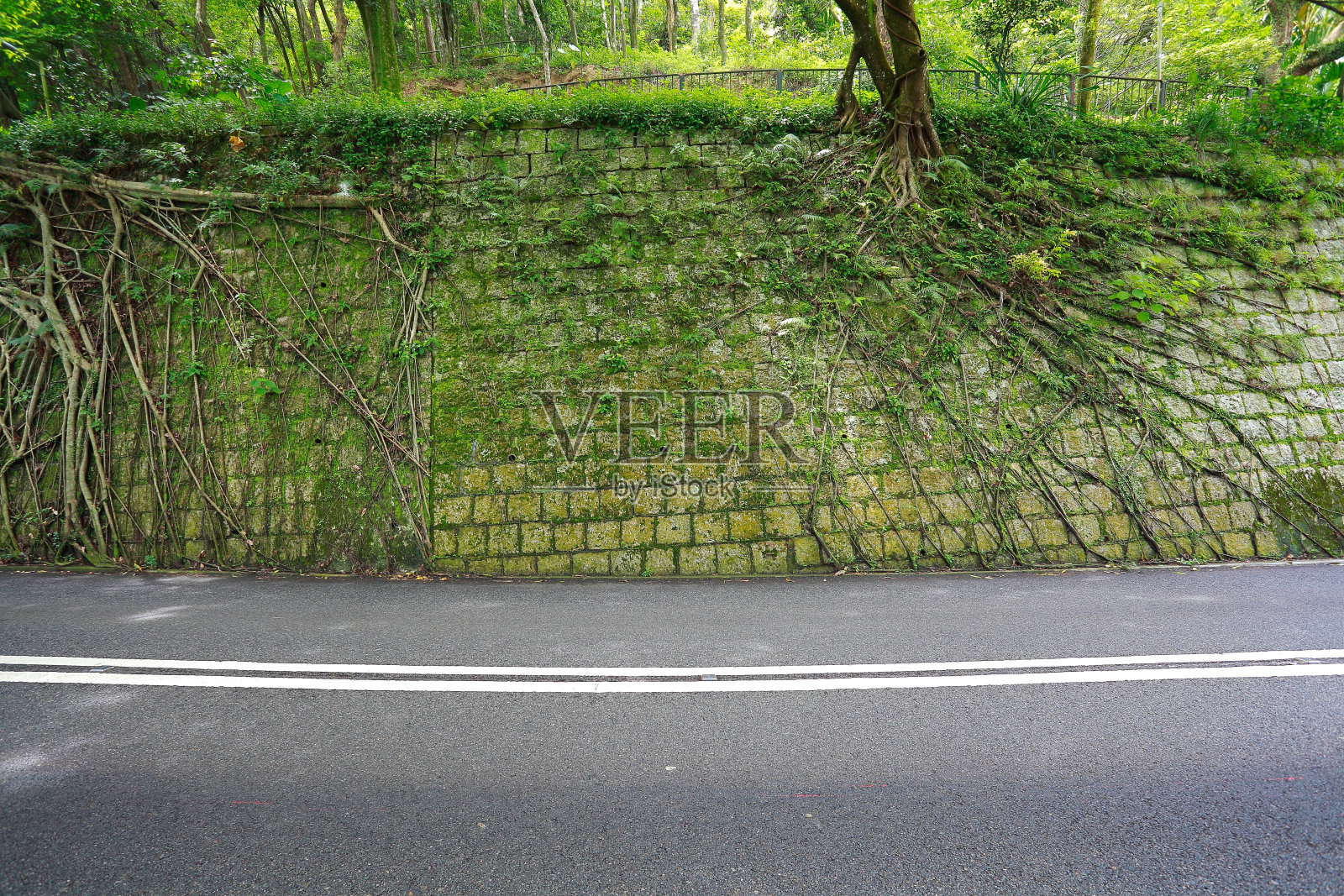 路在山谷的悬崖边缘照片摄影图片