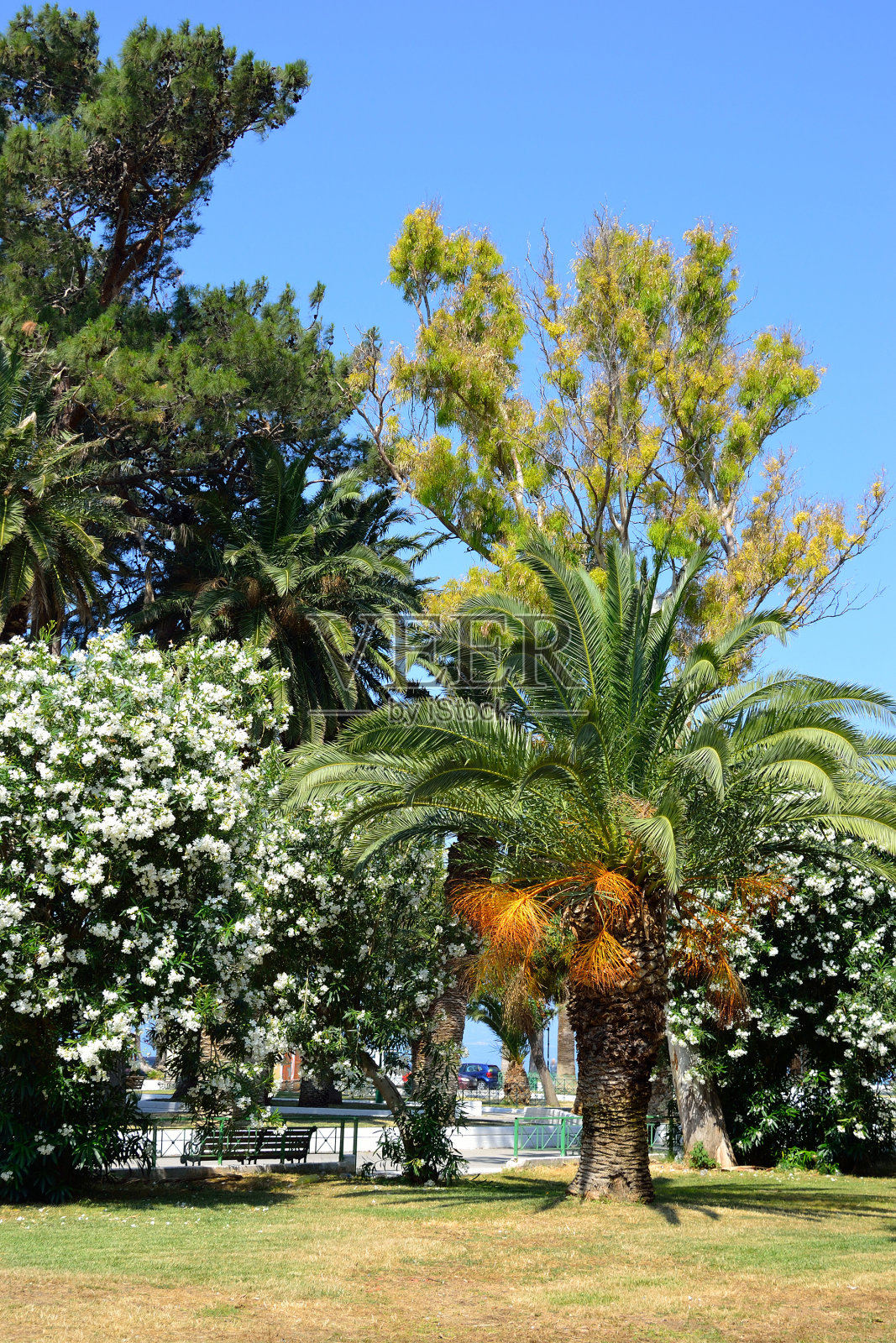 夏天的风景,希腊。照片摄影图片