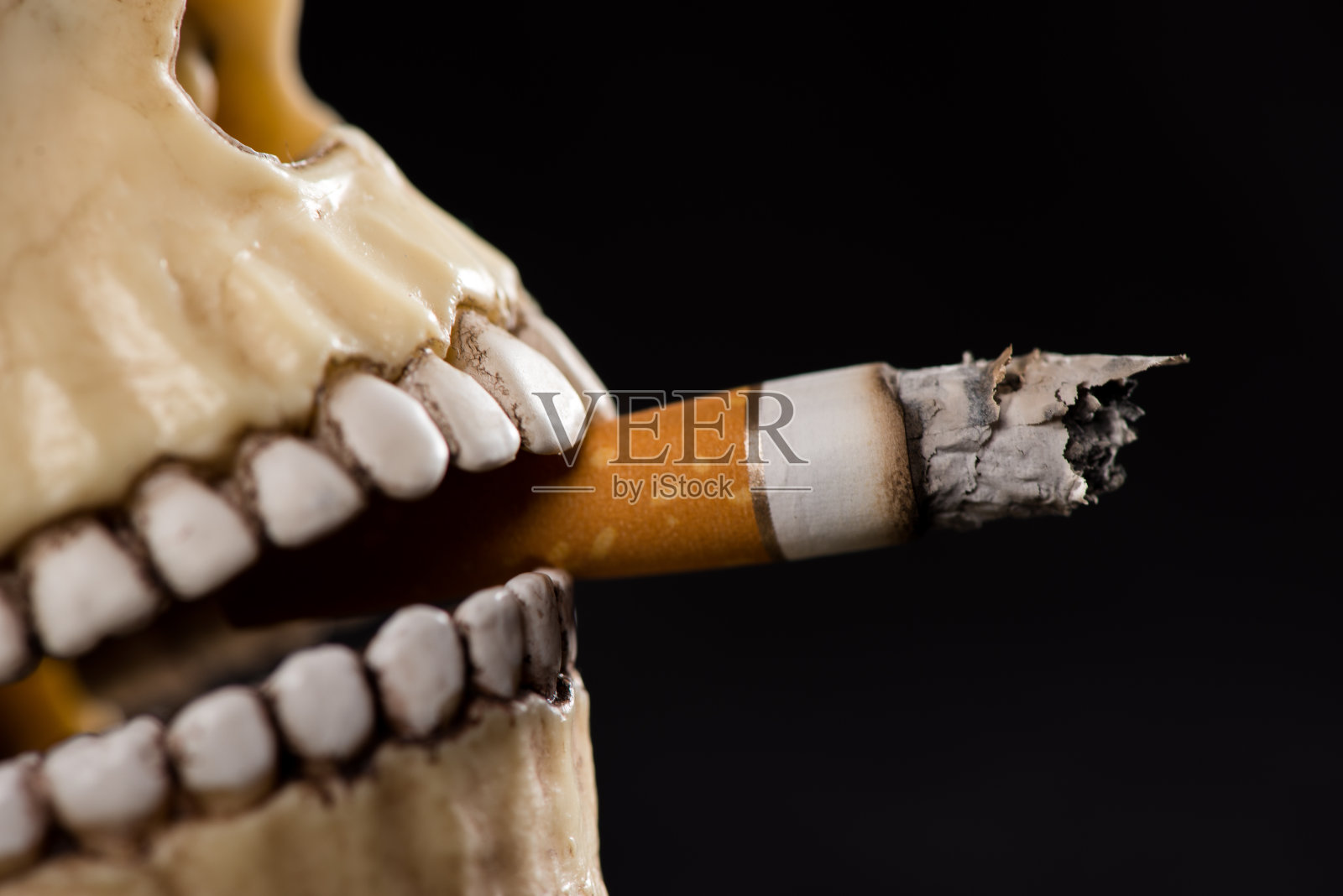 人类头骨在抽烟照片摄影图片